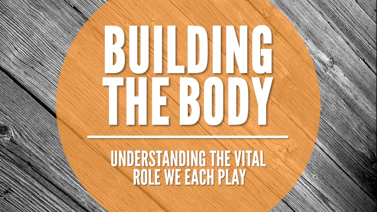 Building the Body