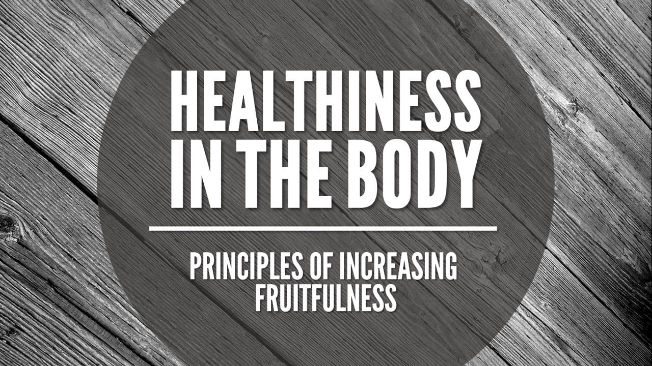 Healthiness in the Body