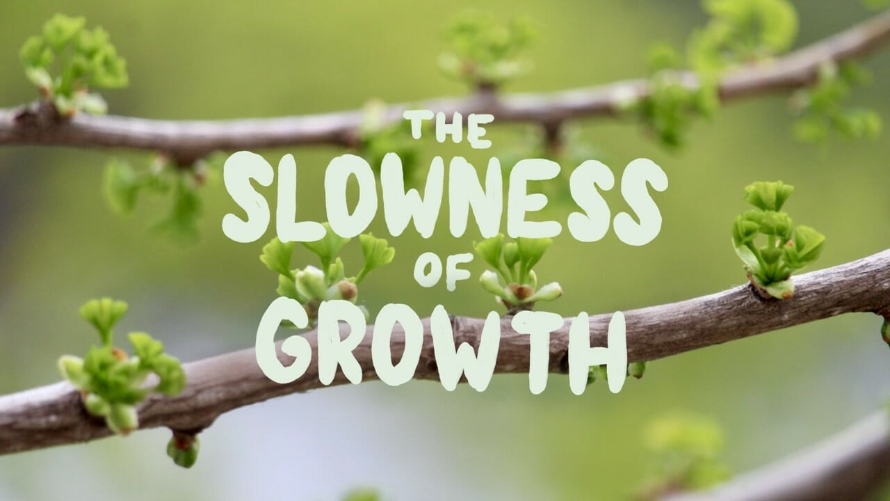 The Slowness of Growth